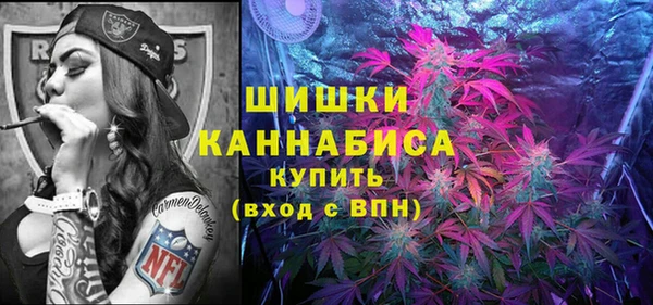 хмурый Белокуриха