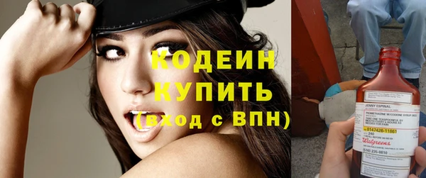хмурый Белокуриха