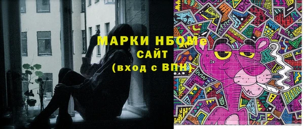 хмурый Белокуриха
