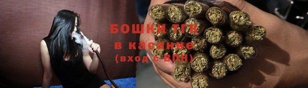 хмурый Белокуриха