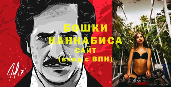 хмурый Белокуриха