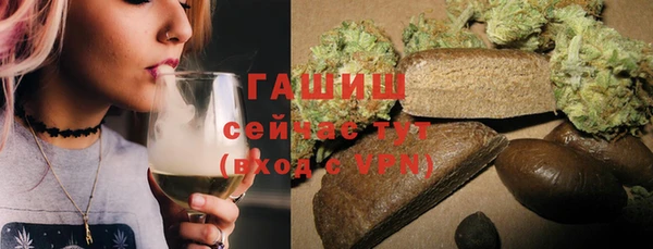 хмурый Белокуриха