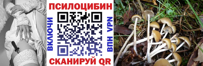 Псилоцибиновые грибы Magic Shrooms  Судогда 